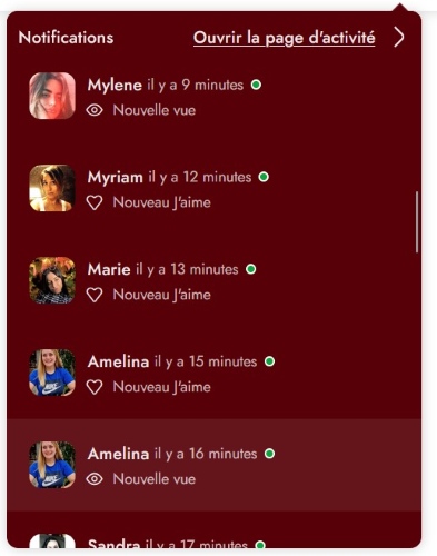 Qui utilise Becoquin ?