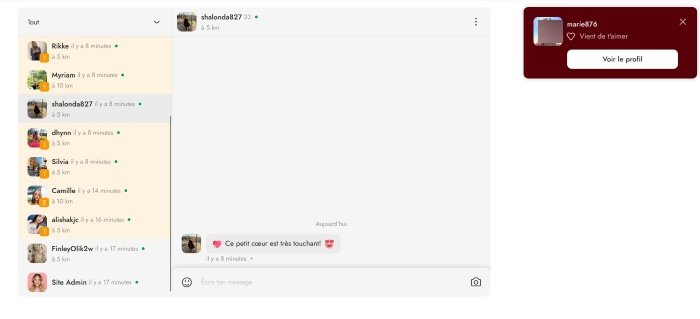 La messagerie instantanée 